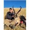 Image 6 : Wyoming Antelope hunt with Forbes Outfitting for 2026