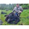Image 8 : Boat Based Giant Southeast Alaskan Black Bear for 2