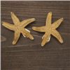 Image 1 : Pair of Gold-Tone Starfish Clip-On Earrings