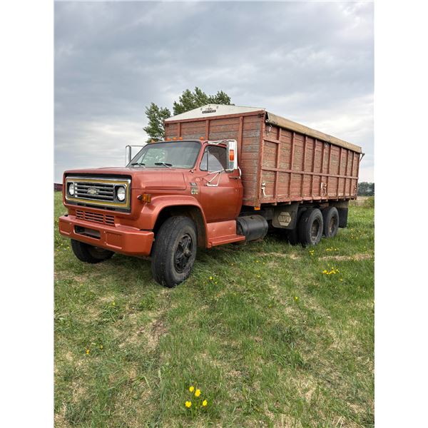 1979 Chev grain truck, tandem, wood 20 ft B & Hoist, roll tarp, 427V8 5&4 spd, shedded, very good tr