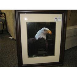 eagle Print