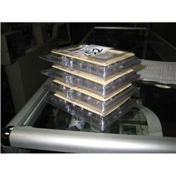 Stack Of 5 Kingston 16MB Flash Module For