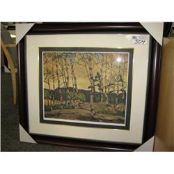 cool Weather Lep By A.j. Casson