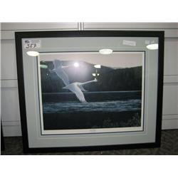 quiet Majesty Lep  By Liz Mitten Ryan