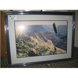 bald Eagle Over Canyon Print
