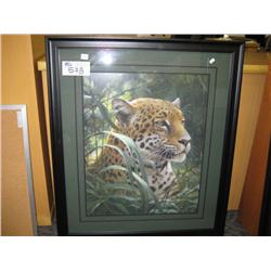 symbol Of The Rainforest  By Robert Bateman