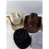 Image 2 : Western and Assorted Hats