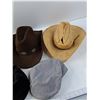Image 3 : Western and Assorted Hats