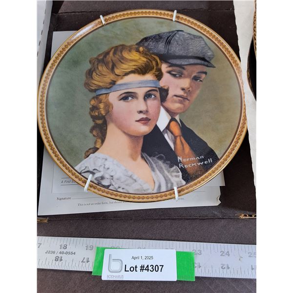 The Bradford Exchange "Meeting on the Path"