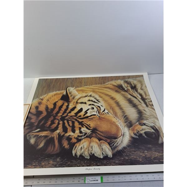 Gail Adams "Sleeping Beauty"