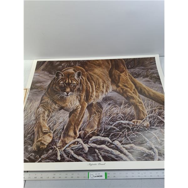 Gail Adams "Majestic Prowl"