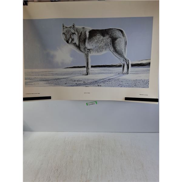 Randy Fehr "Arctic Sunrise"