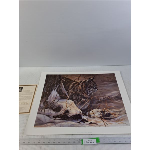 Gail Adams "The Dawn of Dusk"