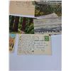 Image 5 : (13) Vintage American Postcards - Assorted