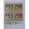 Image 1 : (2) Saskatchewan License Plates: 1975