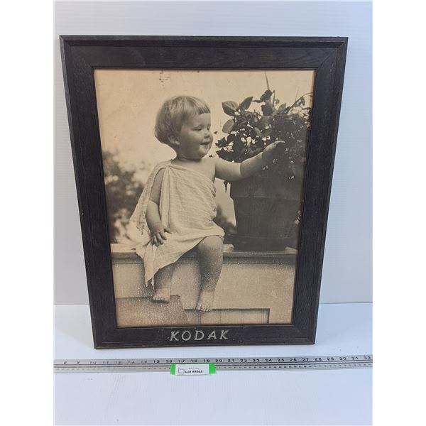 Kodak Store Display Picture in Frame - 18" x 23.5"