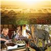 Image 2 : NAMIBIA VELD TO FORK - 10-DAY SAFARI ADVENTURE FOR 12 PEOPLE