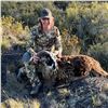 2-DAY HUNT FOR HYBRID EUROPEAN MOUFLON/HAWAIIAN SHEEP FOR 1 HUNTER AND 1 DAY DEEP SEA FISHING FOR UP