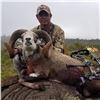 Image 6 : 2-DAY HUNT FOR HYBRID EUROPEAN MOUFLON/HAWAIIAN SHEEP FOR 1 HUNTER AND 1 DAY DEEP SEA FISHING FOR UP