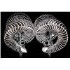 Image 11 : BIGHORN METAL SCULPTURE