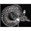 Image 5 : BIGHORN METAL SCULPTURE