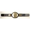 Image 1 : RIC FLAIR SIGNED WRESTLING BELT (JSA COA)