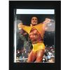 Image 1 : HULK HOGAN SIGNED WWE 8X10 PHOTO (SUPER STAR COA)
