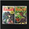 Image 1 : LOT OF 2 BLACKHAWK COMICS (DC COMICS)