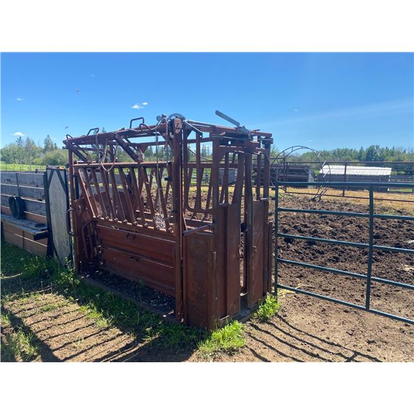 Brown cattle squeeze c/w head gate
