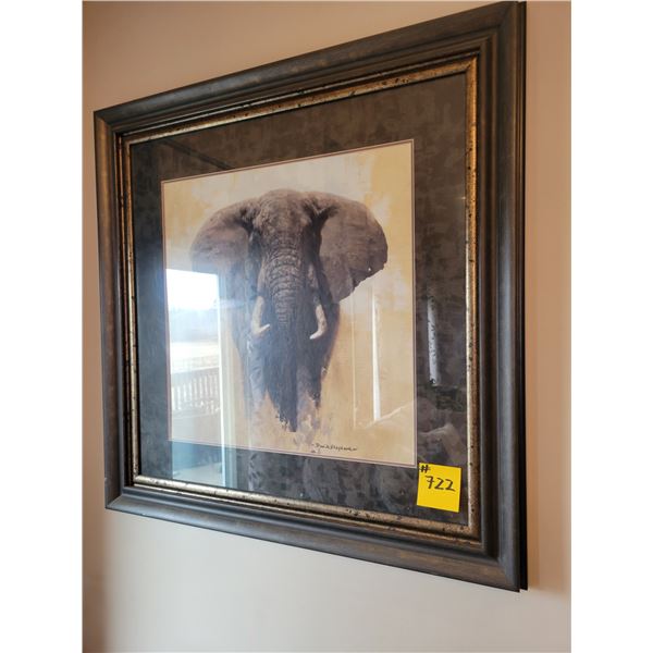 Framed elephant picture