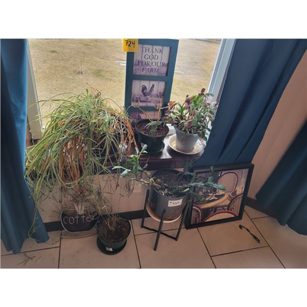 Approx. 5- small plants c/w 5- Kitchen art décor
