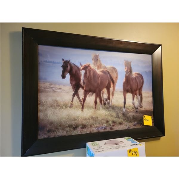 Framed Horse picture