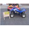 Image 1 : 2004 Yamaha Raptor