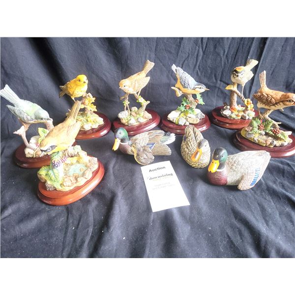 Premier & Heritage Birds A