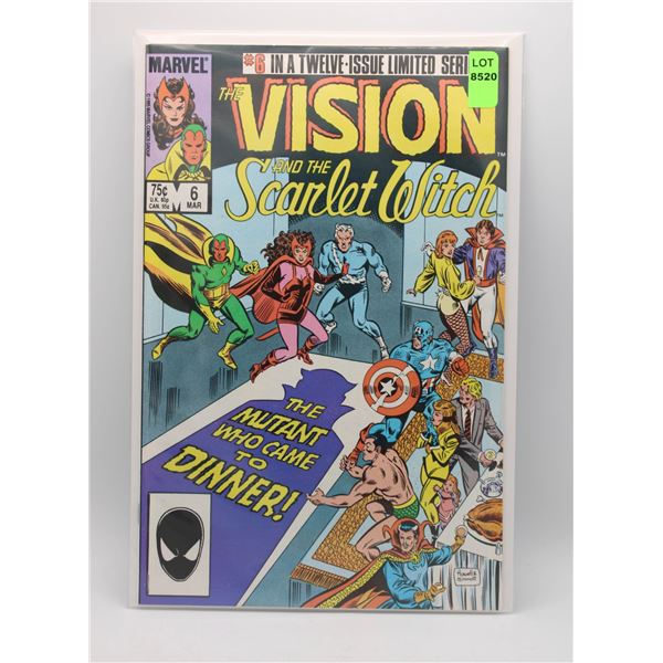 VISION AND THE SCARLET WITCH #6