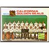 Image 1 : 1975-76 O-PEE-CHEE CALIFORNIA GOLDEN SEALS