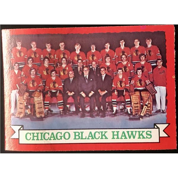 1973-74 TOPPS CHICAGO BLACK HAWKS