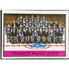 Image 1 : 1974-75 O-PEE-CHEE TORONTO MAPLE LEAFS