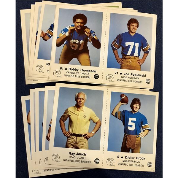 1982 CFL WINNIPEG BLUE BOMBERS POLICE SET