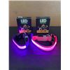 Image 1 : Lot of 2 Masbrill Led Dog Collar for Small Dog 1 Purple 1 Pink