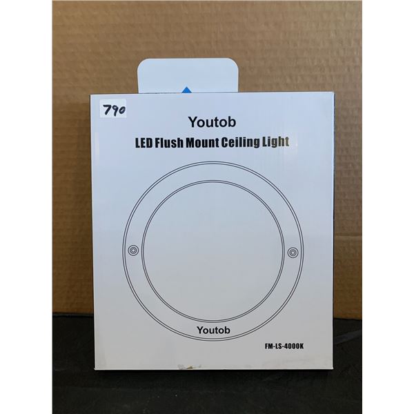 Youtob LED Flush Mount Ceiling Light