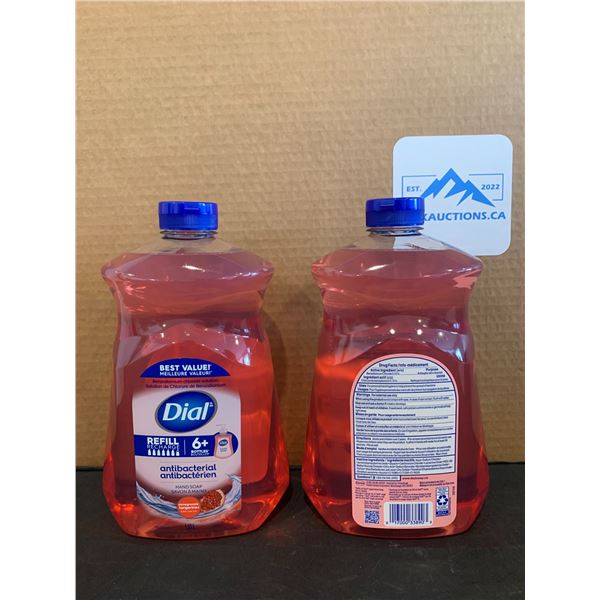 Lot of 2 Dial Refill Pomegranate Tangerine Hand Soap 1.53L