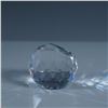 Image 1 : Swarovski Crystal Paperweight, Crystal Fanatics Club