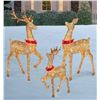 Image 1 : Deer Family With 729 LED Lights, Set of 3
