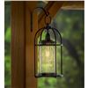 Image 1 : Evergreen Solar LED Edison Lantern with Metal Cage Design