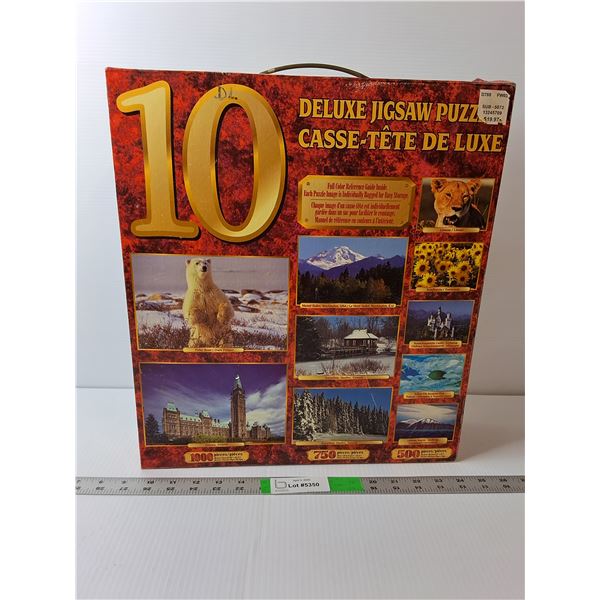 (10) Pack of Jigsaw Puzzles