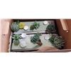 Image 2 : ASSORTED NEW ZEN GARDENS