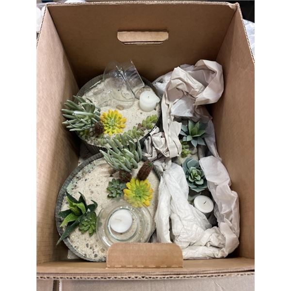 ASSORTED NEW ZEN GARDENS