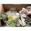 Image 2 : ASSORTED NEW ZEN GARDENS