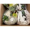 Image 3 : ASSORTED NEW ZEN GARDENS